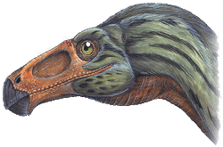 Erlikosaurus andrewsi