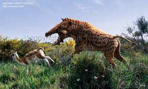 Archaeotherium.jpg