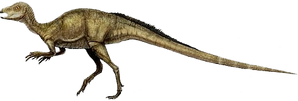 838332 orig