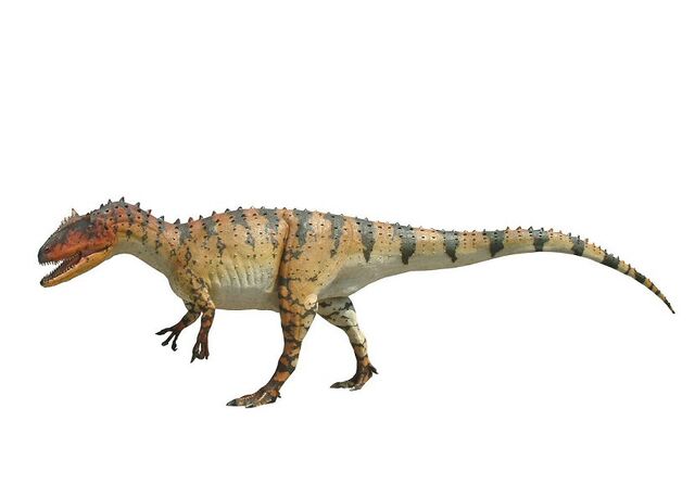 File:Allosaurus0002.jpg