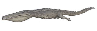 Stomatosuchus.jpg