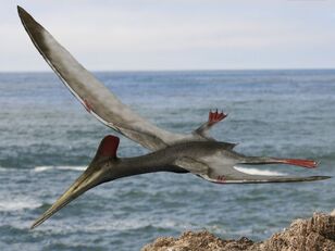Pterodactylus BW