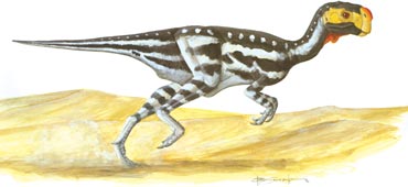 Conchoraptor-Brian-Franczak