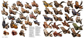 Csotonyi ceratopsians 1300