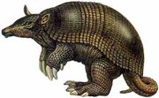 Pampatherium