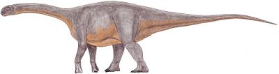 Rhoetosaurus