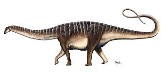 Amazonasaurus