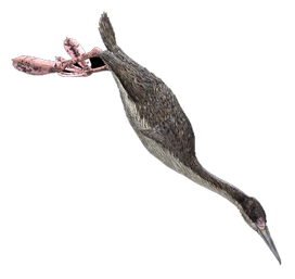Hesperornis1