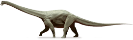 Diamantinasaurus