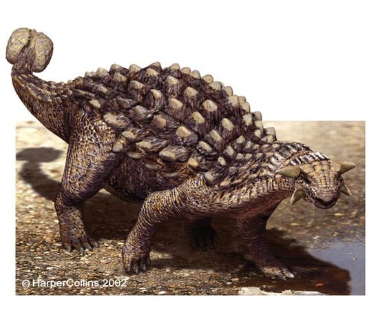 File:Ankylosaurus.jpg