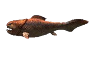 Dunkleostus