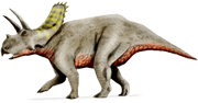 Arrhinoceratops