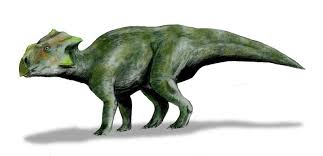 Descarga (1) bagaceratops.jpg