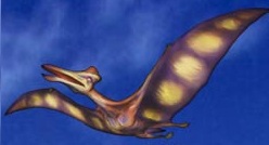 File:Pterodactyl sketch.jpg