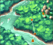 The Edge of the Forest