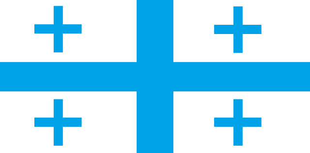 File:My Own flag.png