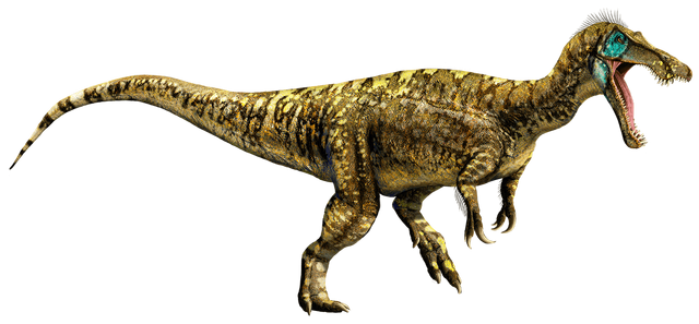 File:BaryJW.png