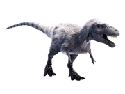 New Albertosaurus