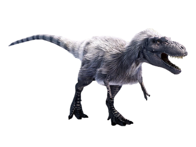 File:New Albertosaurus.png