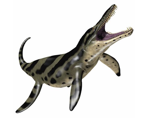 File:Kronosaurus.jpg