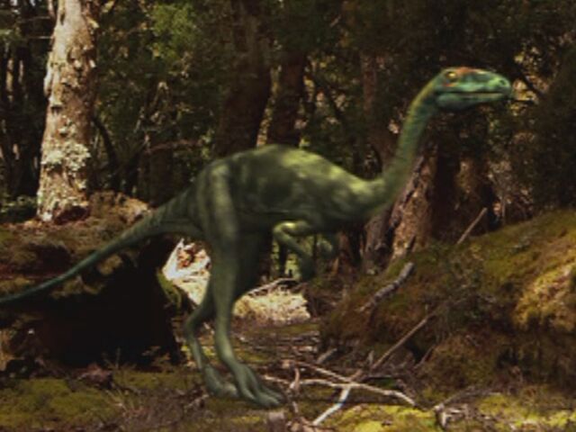 File:CoelophysisMain.jpg