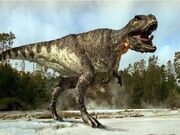 Wwdt-rex