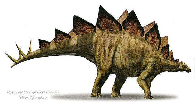 File:Stegosaurus-stenops.jpg