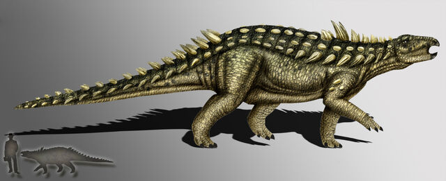 Datei:Acanthopholis dinosaur.wiki.jpg