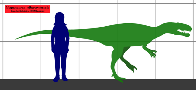 Datei:Magnosaurus dinosaur.wiki Größenvergleich.png