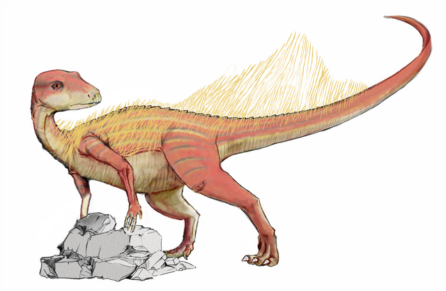 Datei:Abrictosaurus dinosaur.wiki.png