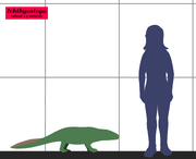 Ichthyostega dinosaur.wiki Größenvergleich