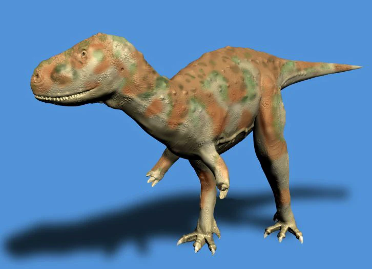 Huincul Formation Dinosaurier Wiki FANDOM powered by Wikia