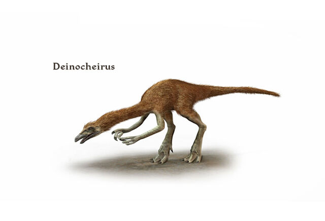 File:Deinocheirus.jpg