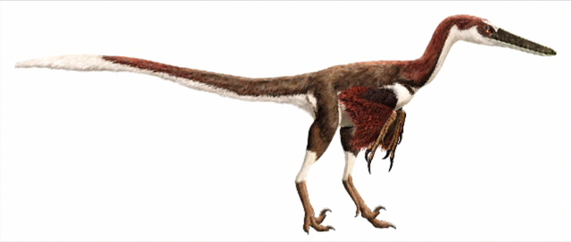 File:Austroraptor.png