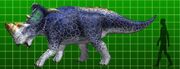 Pachyrhinosaurus