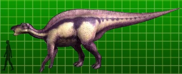 File:Maiasaura.jpg