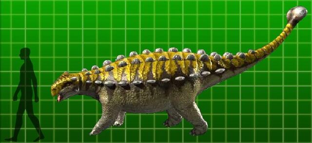 File:Pinacosaurus.jpg