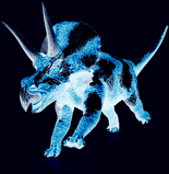 Dark sky diceratops