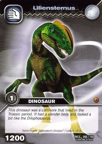 File:Dinoking base080.JPG.jpeg