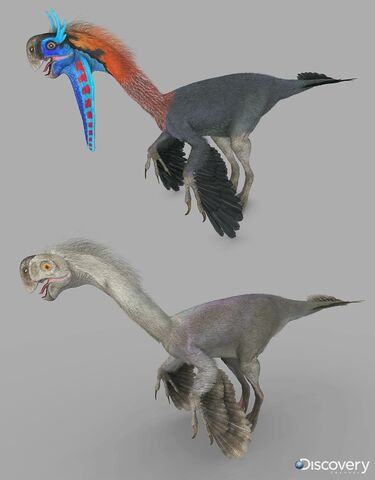 File:Gigantoraptor.jpg