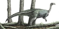 Plateosaurus
