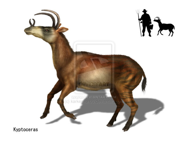 File:Kyptoceras by karkemish00-d5b9lpu.jpg