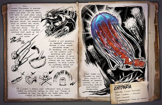 File:800px-Cnidaria Dossier.jpg