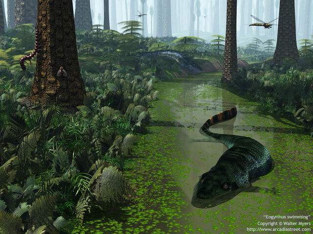 File:Eogyrinus swimming 800.jpg