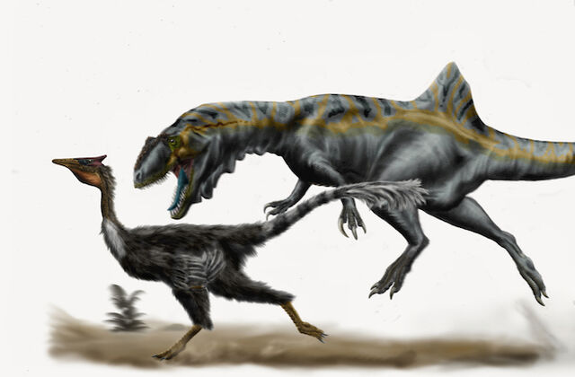 File:Concavenator Chasing Pelecanimimus.jpg