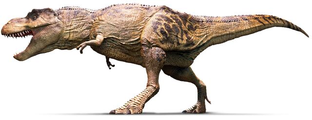 File:T REX profile tg6qxo.jpg