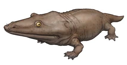 Mastodonsaurus | Dinopedia | Fandom powered by Wikia