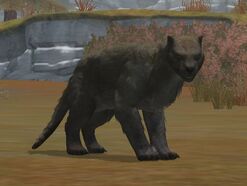 Marsupial-lion-10