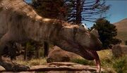 WDRACeratosaurus