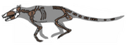 220px-Pakicetus fossil